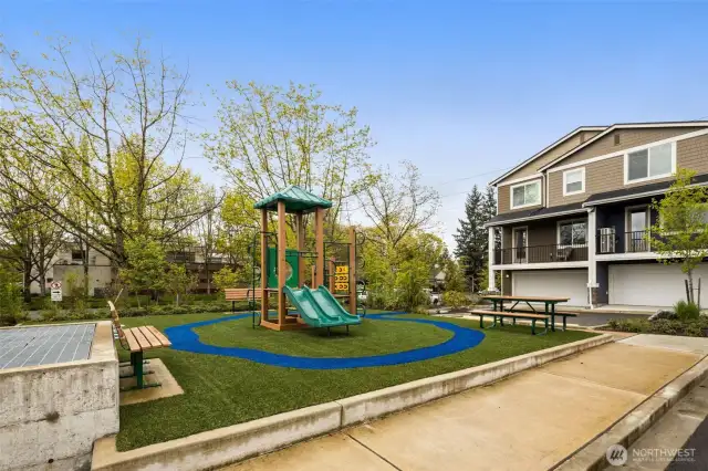 with playground