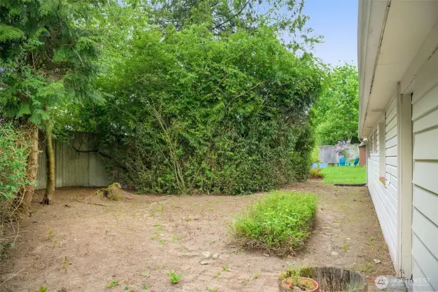 Back yard