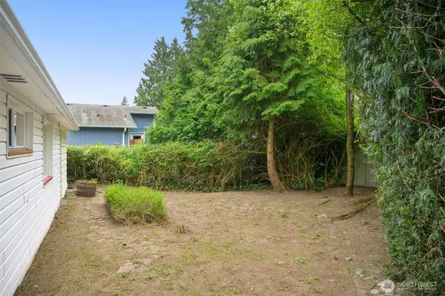 Back yard