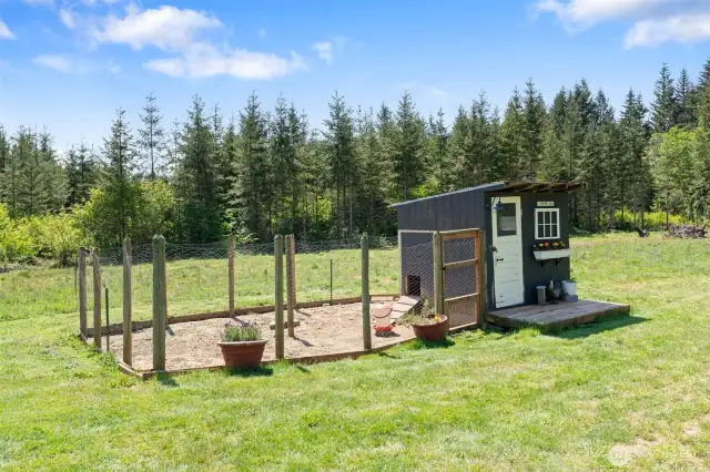 Chicken coop!