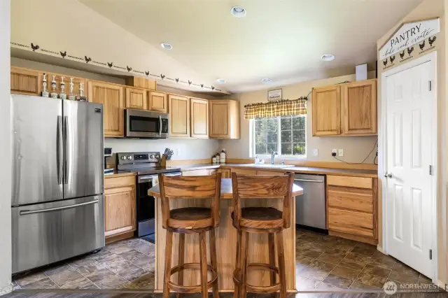well designed kitchen with large pantry.