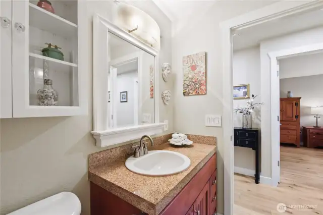 main or guest bathroom