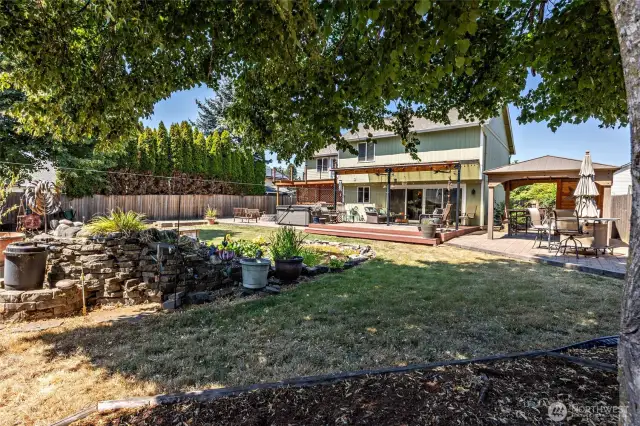 Backyard Oasis