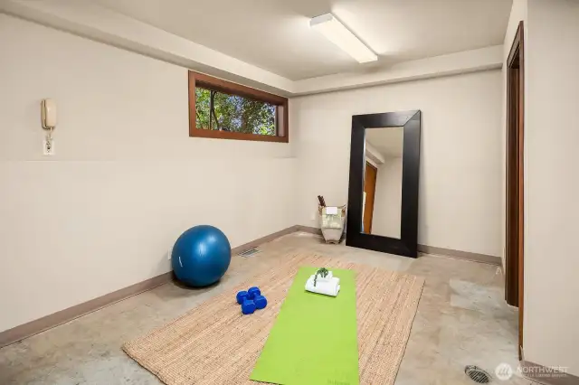 The northernmost room in the basement offers flexibility as a home gym, and with its half-bath and separate exterior entrance, it could easily be converted into a mother-in-law suite or ADU.