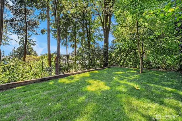 The spacious lawn and surrounding landscaping are equipped with a built-in irrigation system for effortless maintenance.