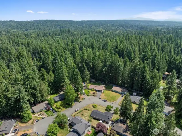 Living in a tree filled community