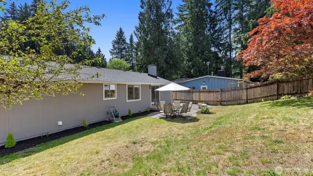 View from the far side of the back yard