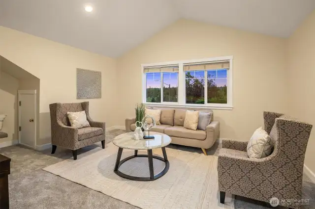 Bonus/bedroom