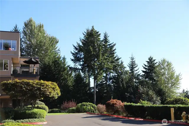 Neighborhood commons area