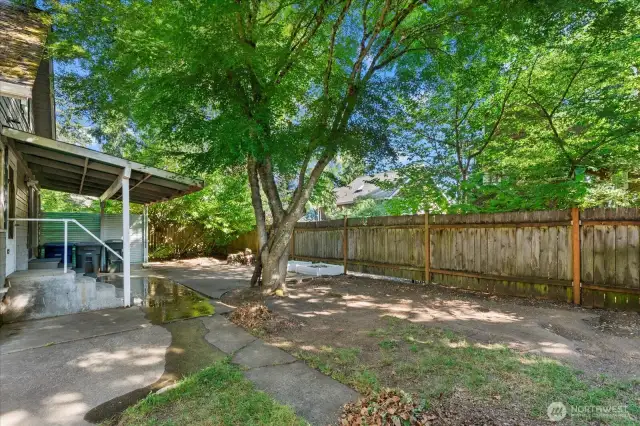 Shaded back yard with a covered patio
