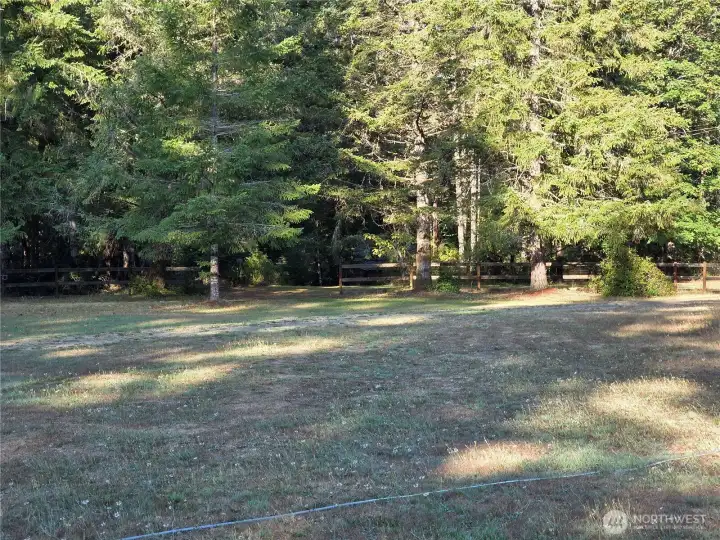 Back of property with forest