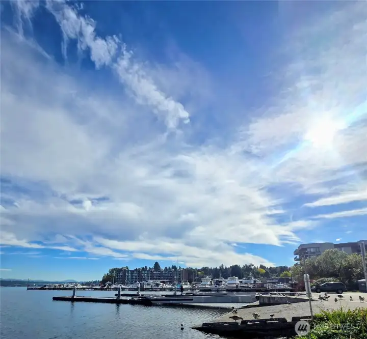 View of Parkshore from the boat launch next door