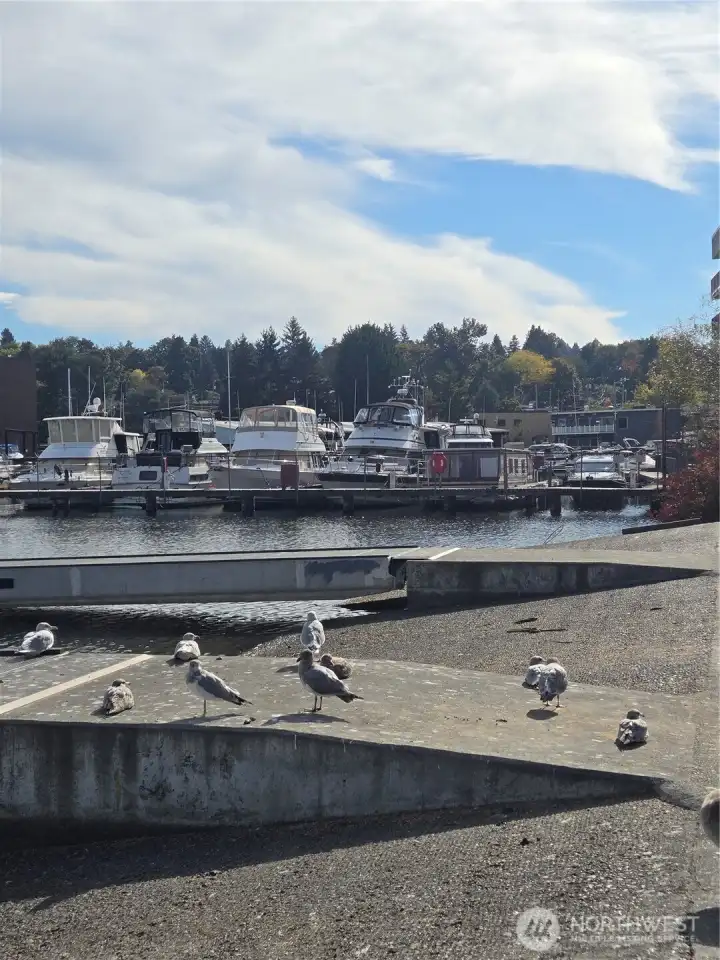 Beautifully situated on Rainier Beach