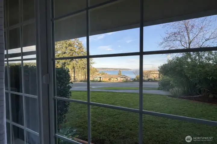 View from living room windows