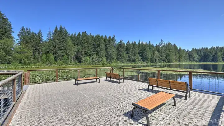 This is Yellow Lake in the middle of Klahanie. The access is on this gorgeous walk-out wood path to the floating dock.