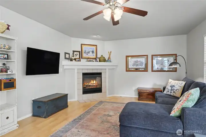 Adjacent family room features gas fireplace, greenspace backyard views and ceiling fan.