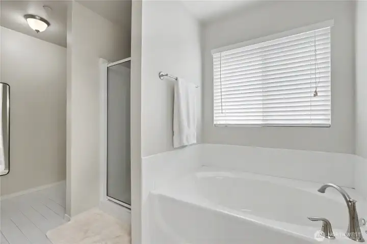 Separate shower and soaking tub.