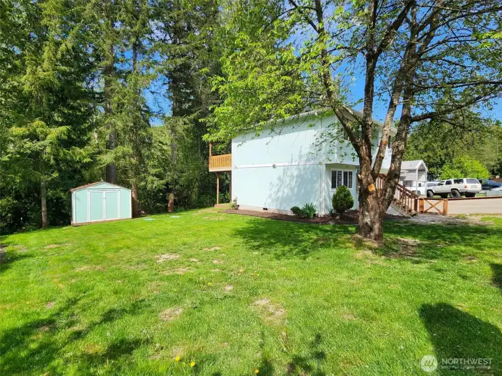 Backyard