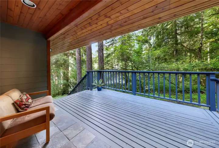 Front deck. Fresh stain.
