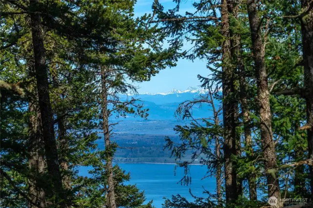 Views of M. Baker by the cabin.