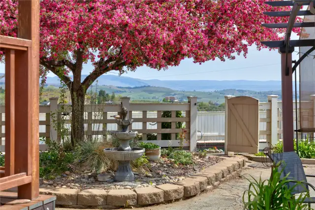 A Peaceful Place
