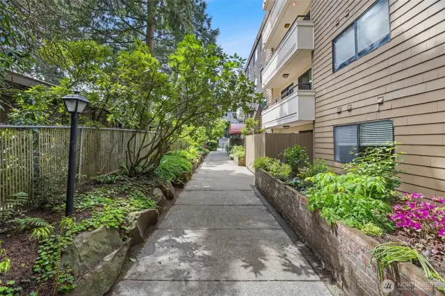 Walkway to front door from 35th looking toward gate from back extra parking area. One reserved spot in the garage.