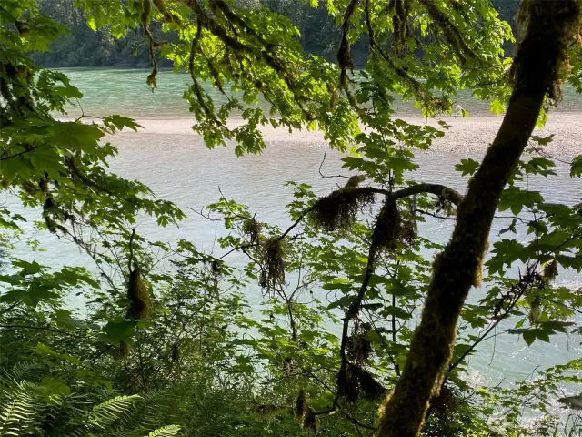 If you clear away some of the overgrowth, you'll have this very pleasant river view