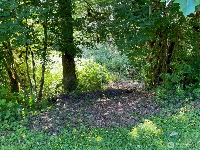 The old driveway to the lot