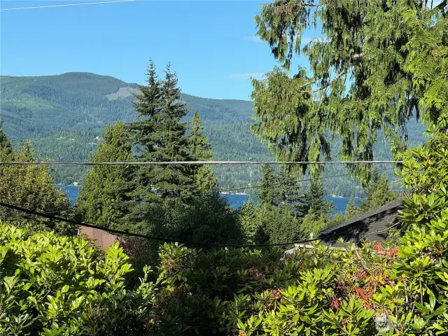 There is a view of the lake over the laurel which could be opened up if it were pruned.