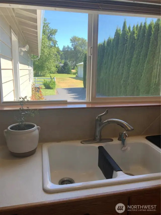 View of backyard from kitchen window