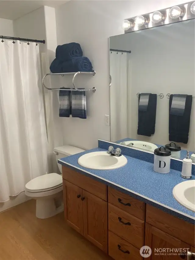Upstairs bath