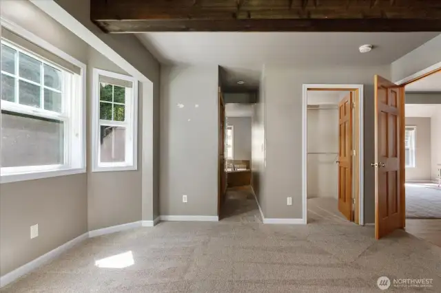Primary bedroom with walk in closet and en suite