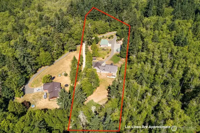 Approximate lot line for surveyed acreage