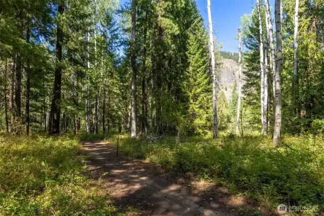 A beautiful walking path leads through mature aspen and pine to the community’s private riverfront and swimming beach.