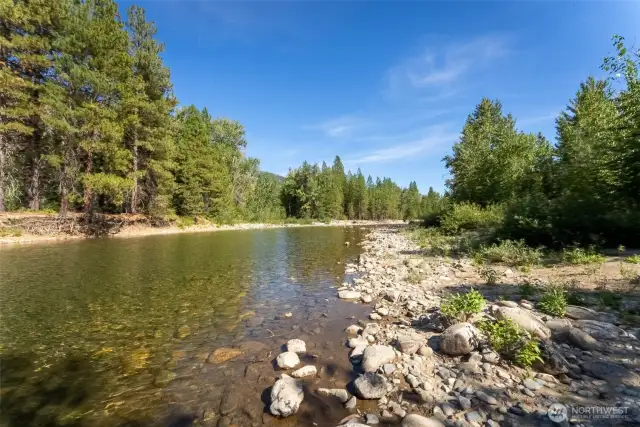 Shallow water and deep pools are perfect for every age and four-legged friends, too!