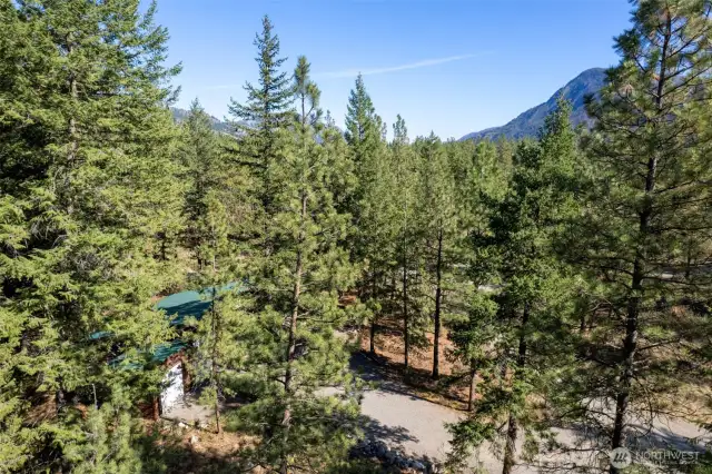 Each property within the community is accessed by its own private driveway.
