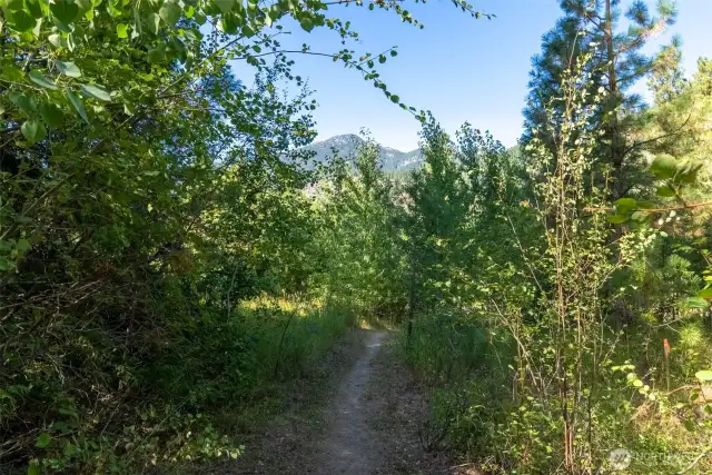 Explore the beauty of the Deer Run community in the heart of Mazama.
