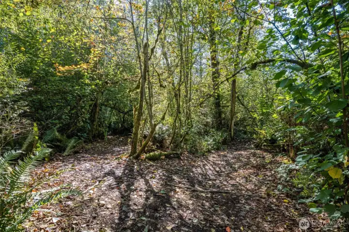 trails throughout the property