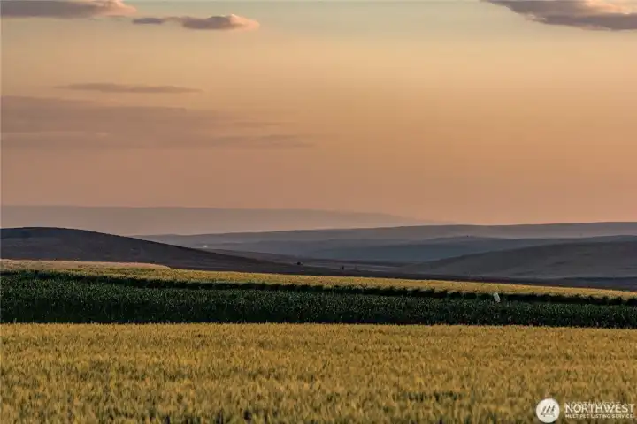 You'll be able to enjoy this view everyday.