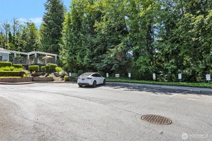 Ample visitor parking