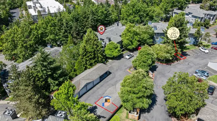 Northshore school district