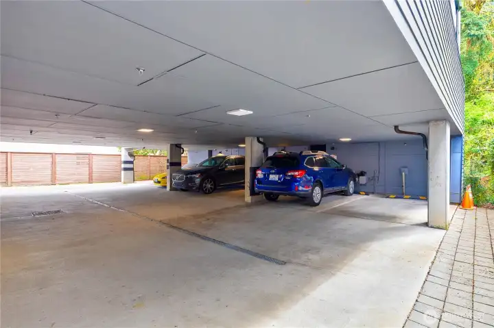 Designated Parking Area