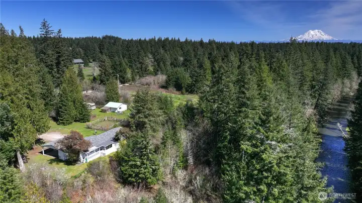 Stunning aerial view of this private retreat nestled among mature evergreens with Deschutes River frontage. Mount Rainier rises in the distance, creating a breathtaking Pacific Northwest backdrop.