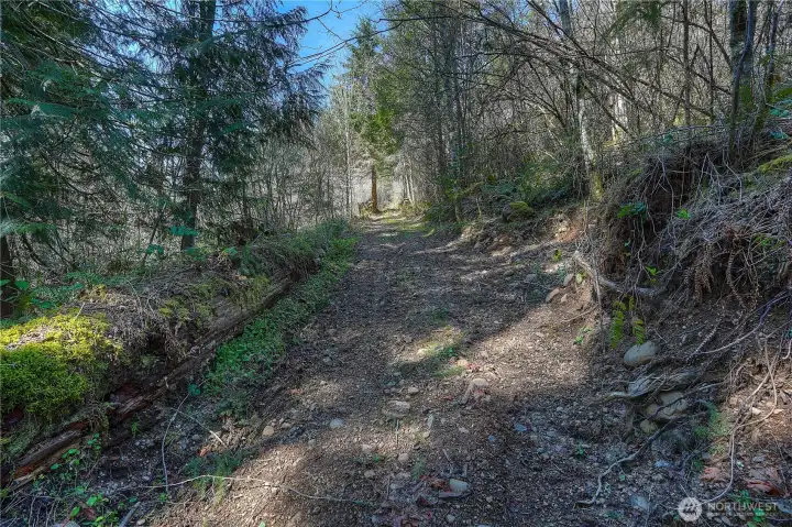 Private trail leading down to the river, surrounded by mature trees and natural landscape