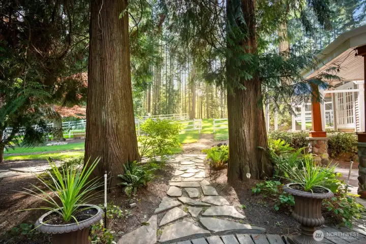 View from patio out to pastures