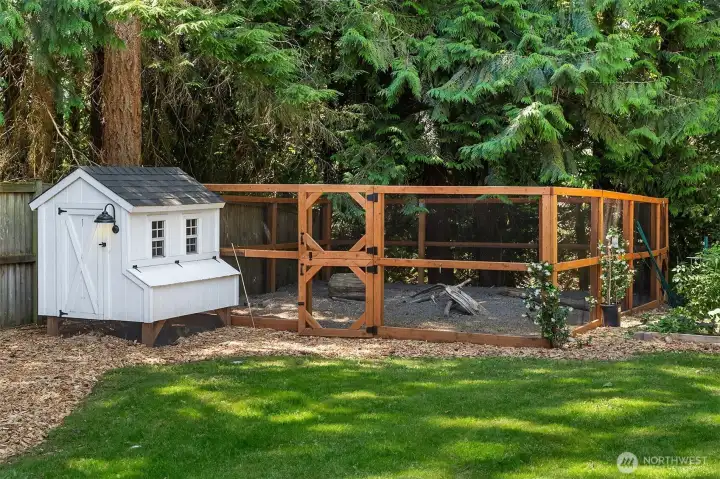 Chicken coop area. Chicken coop area.