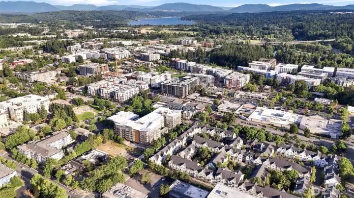 Heart of Downtown