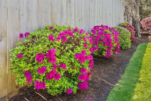 Splashes of color throughout the manicured yard