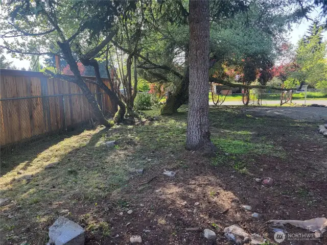 side front yard