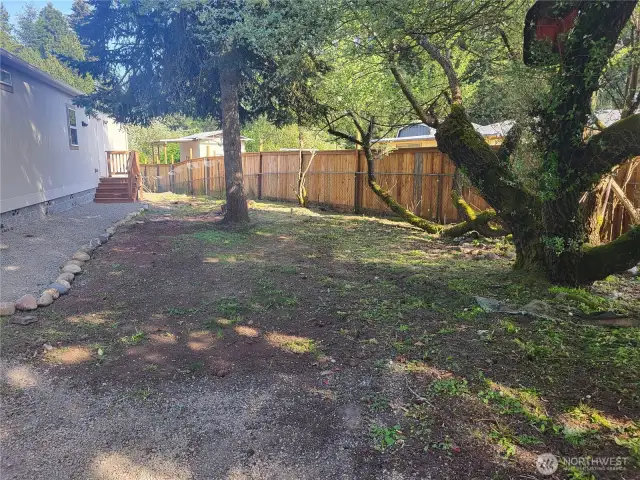 back yard